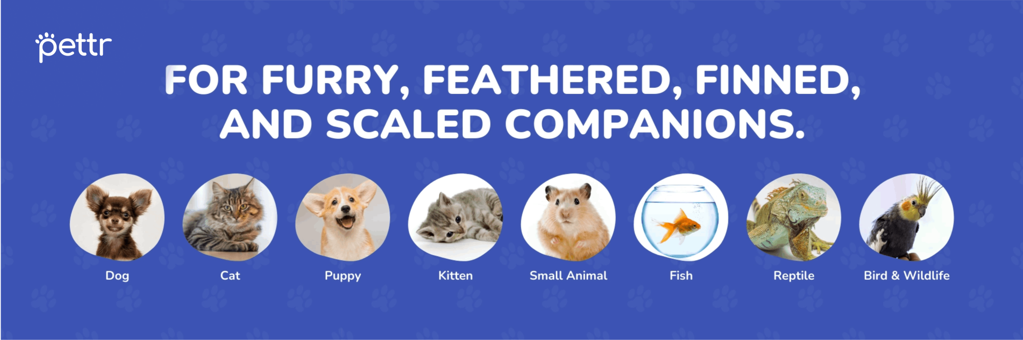 hero-slider-companions